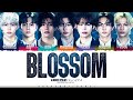 ENHYPEN BLOSSOM Lyrics Color Coded Kan Rom Eng ShadowByYoongi