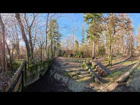 Wolf Hellabrun Zoo Munich - Static Shot 360