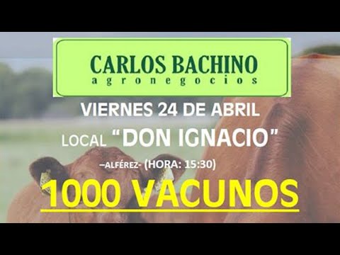 2020-04-24 remata Bachino. Alferez, Rocha