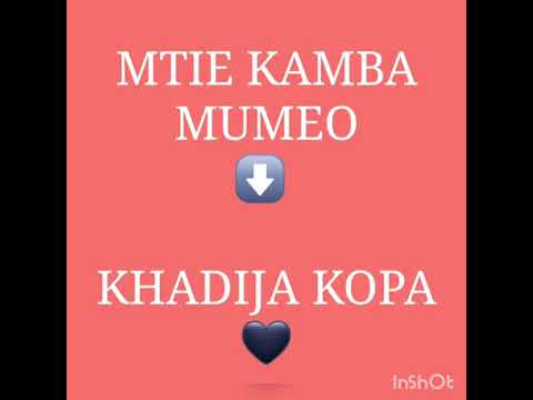 Mtie kamba Mumeo (Nimemchukua Mchana )remix_khadija kopa ❤️