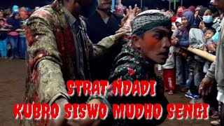 Download lagu kobro kesurupan BABAK STRAT KUBRO SISWO MUDHO SENGI mp3 Download lagu kobro kesurupan BABAK STRAT KUBRO SISWO MUDHO SENGI mp3
