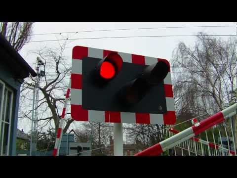 Level Crossing at Sydney Parade - Dart number 8606