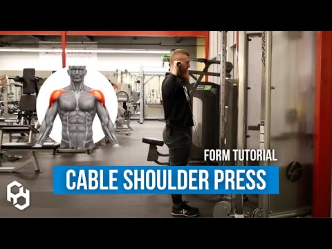 Cable Shoulder Press | Physique Development