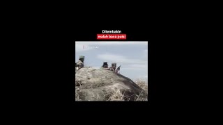 Download lagu Deddy Mizwar Tetep Santuy Waktu Lagi Ditembak | Naga Bonar mp3