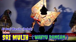 Download lagu live  //  wayang kulit Ki Budi Warsito [ bebek ] // lakon SRI MULIH [ wahyu sandang pangan ] mp3