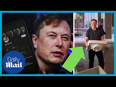 Elon Musk buys Twitter, immediately fires top 3 executives - The Global Herald