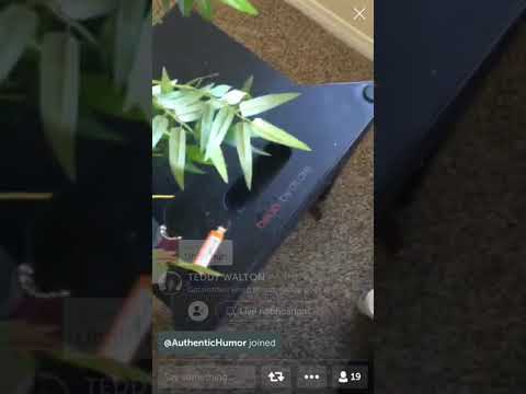 Teddy Walton x Isaiah Rashad snippet