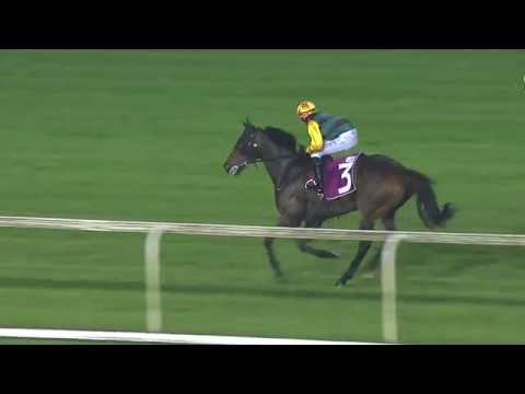 巴克锦标 2019 (名望之星)