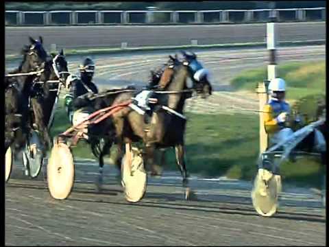 Trotto 08/12/2015 - 3° corsa