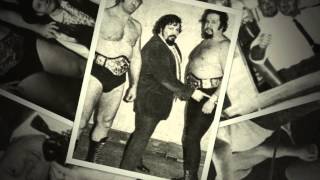 Pro-Wrestling Managers