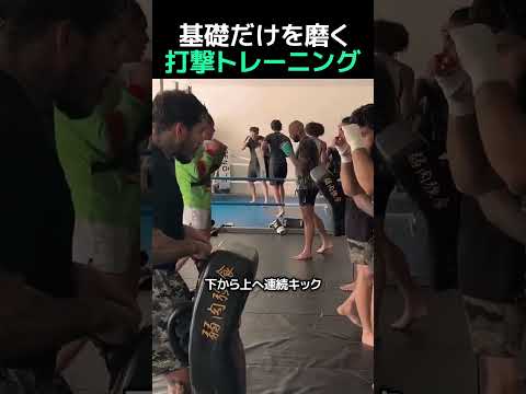 基礎だけを磨く 打撃トレーニング