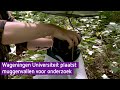 Wageningse onderzoekers vangen grote vijanden met veel informatiewaarde: de mug