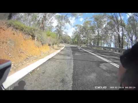 Slow Down, Kangaroo Crossing