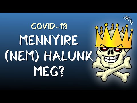 Zoonózis paraziták zöldségekben - Akár vakságot is okozhat a kutyapiszok