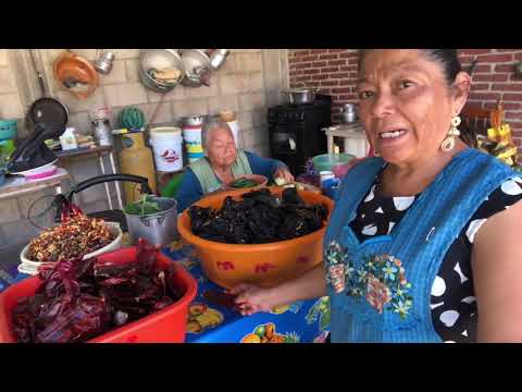 Oaxacan Black Mole // The most delicious!!