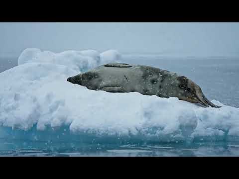 Unity- Dj Pisjeloe productions