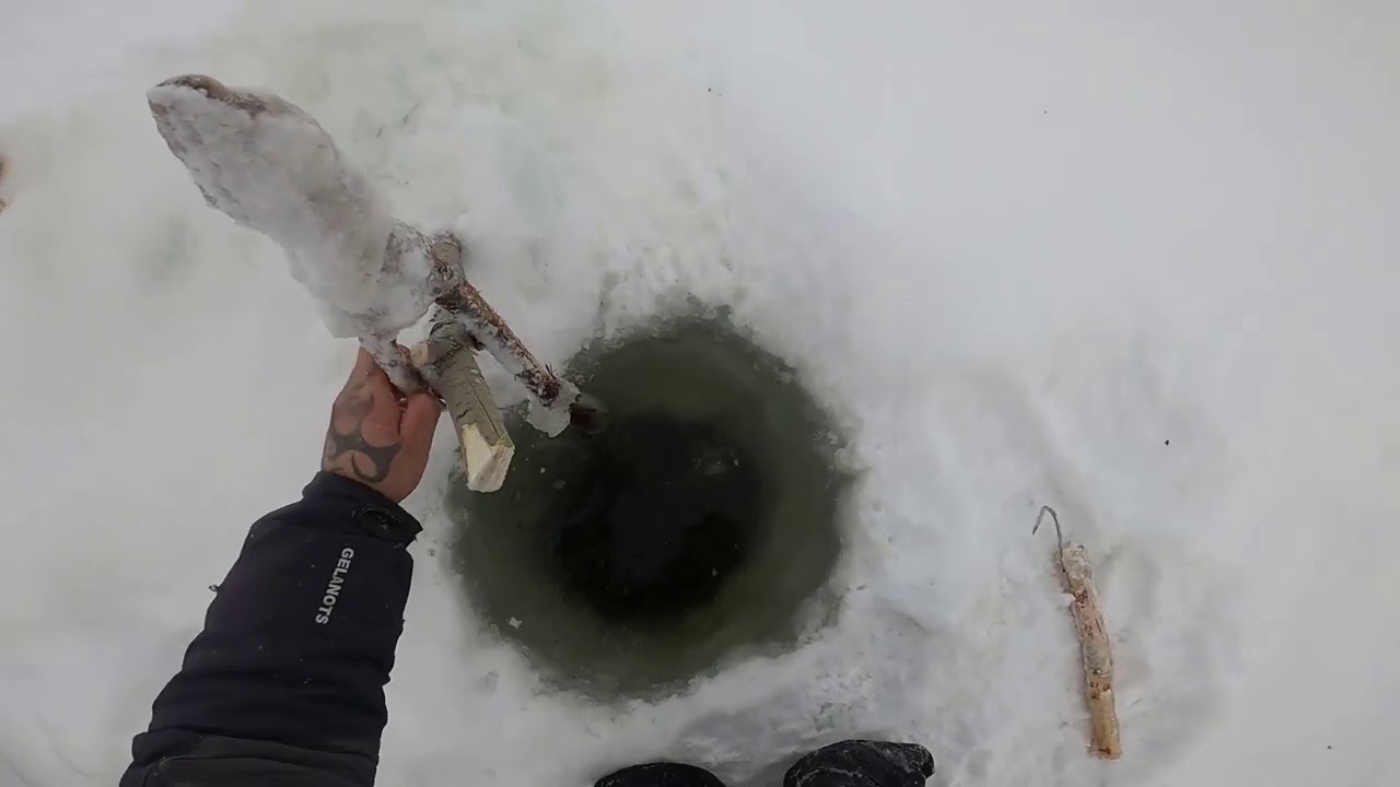 Рыбалка на Севере. Налим из чёрной дыры #27 Туруханский район