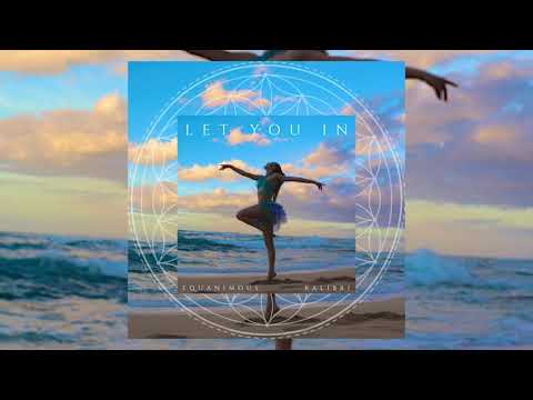 Equanimous & Kalibri - Let You In