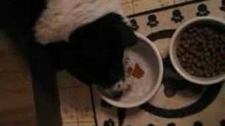 Sophie Cabral - Drinkin&#39; &#39;Bout You