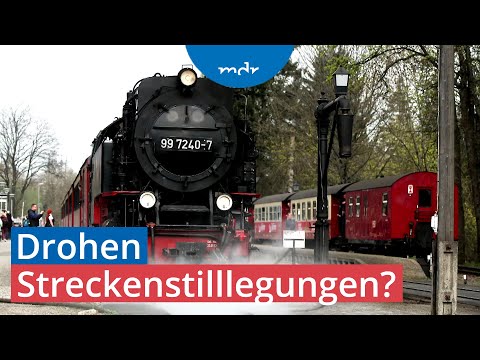 Millioneninvestition: Zukunft der Harzer Schmalspurbahnen ungewiss? | MDR SACHSEN-ANHALT HEUTE | MDR
