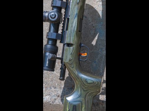 Savage Arms B22 FV-SR 22 Long Rifle