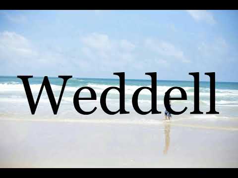 How To Pronounce Weddell🌈🌈🌈🌈🌈🌈Pronunciation Of Weddell