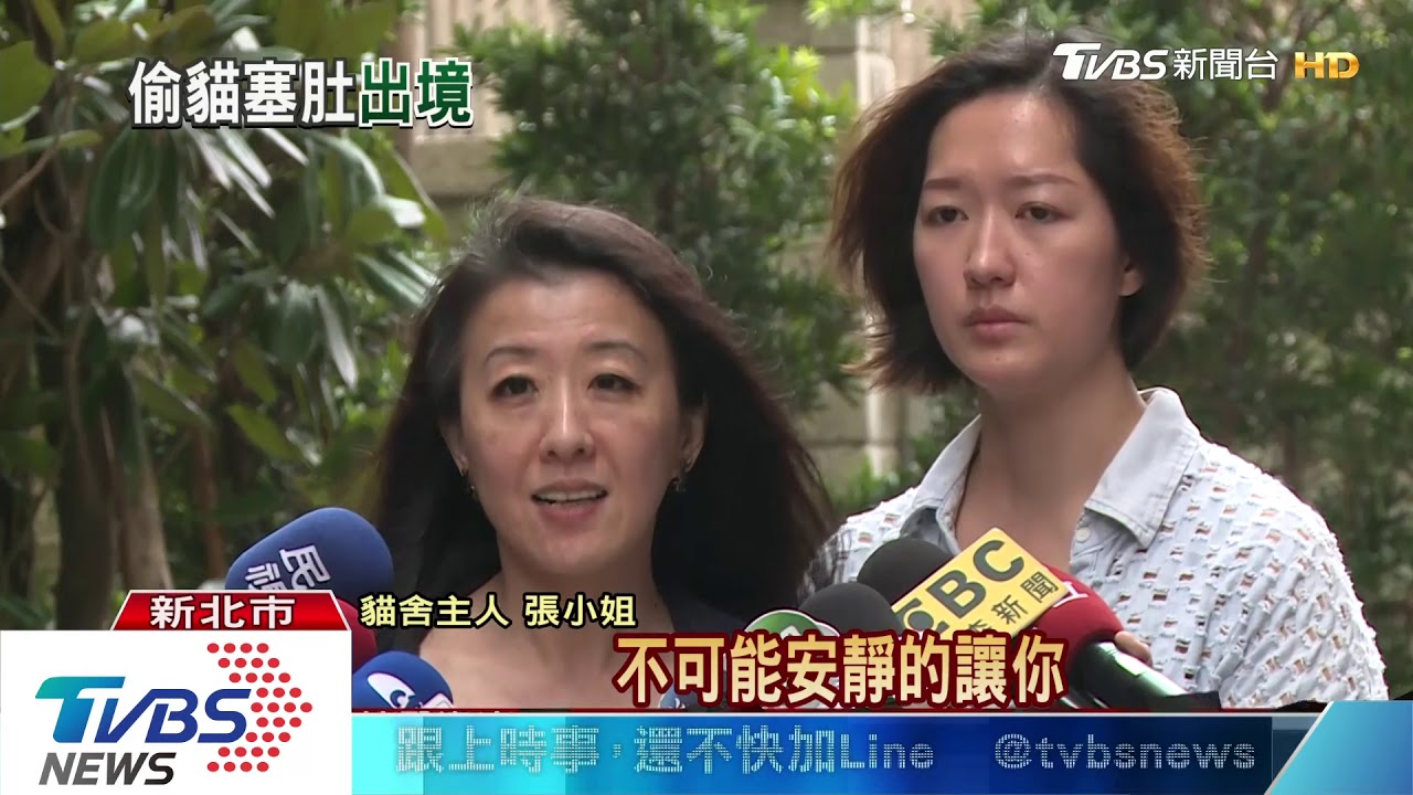 安檢漏洞!港女偷2貓 藏肚裝孕成功闖關