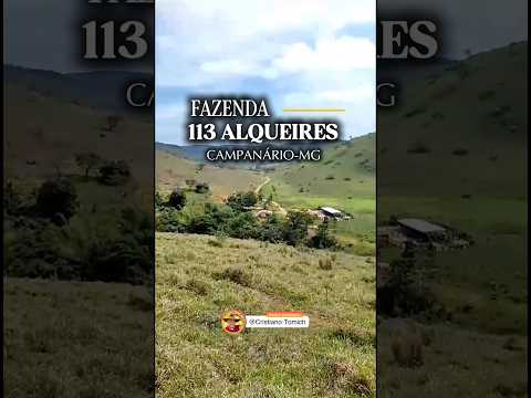 FAZENDA 113 ALQUEIRES CAMPANÁRIO-MG R$ 9 MILHÕES #fazenda #minasgerais #pecuarista #gado #brasil
