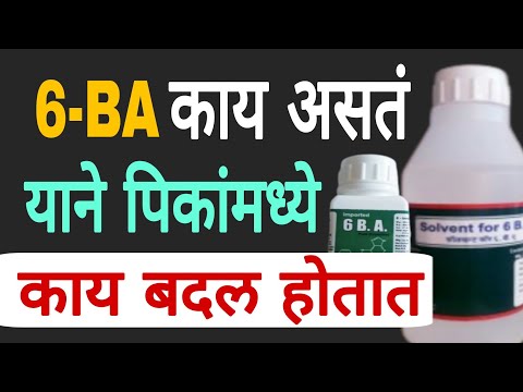6 BA information | 6BA संपूर्ण माहिती | Dnyaneshwar Kharat Patil