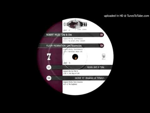 Floor Federation - Love Resurrection (Direct Hit Version)