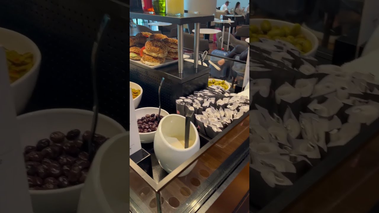 Turkish Airlines THY CIP Lounge