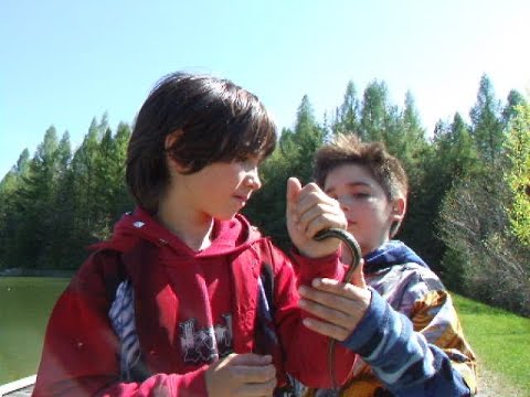 070512 - Returning to the Conservation Area for Another Year 10