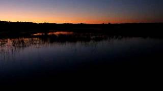 Roster McCabe- Rush The Tide