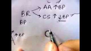 Baroreceptors mnemonic