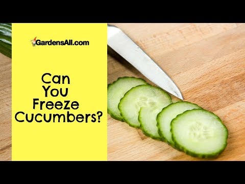 download lagu mp3 mp4 Can I Freeze Cucumber Salad, download lagu Can I Freeze Cucumber Salad gratis, unduh video klip Can I Freeze Cucumber Salad