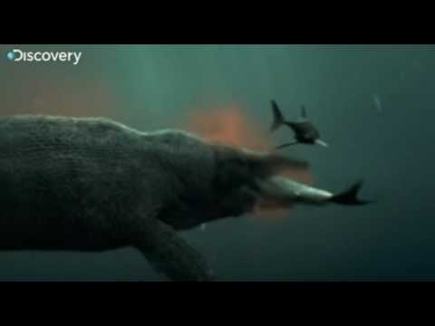 Mosasaur Tribute - Liberate