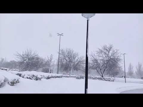 Filomena. Nevada del 7, 8 y 9 de Enero de 2021 en Torrejón de Ardoz