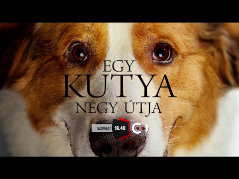 Cool ajánlógrafikák - 2. rész