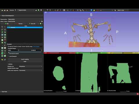 3D Slicer - Segment Geometry Demo