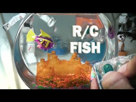 The AquaBot from Hexbugs, a fish you don't have to feed.