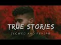 True Stories [ LoFi + Slowed + Reverb ] - Ap Dhillon | Lofi Lab