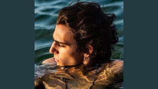 Tamino - Verses video