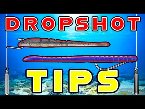 Drop Shot Tips For Hot Summer Bass! (And The Mistakes To Avoid)