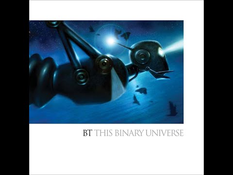 BT -This Binary Universe- 02 Dynamic Symmetry
