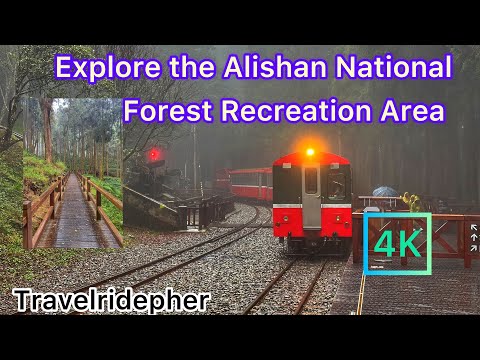 Excursão de um dia na Área de Recreação da Floresta Nacional de Alishan #alishan #famousplace #taiwan #daytour #4k