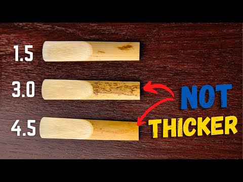 5 Things You DIDN"T Know about Saxophone Reeds