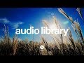 Light Sting Kevin MacLeod No Copyright Music
