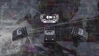 Two notes Le Bass Preamp Pedal