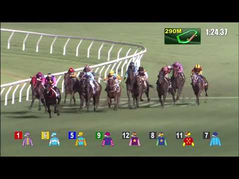 9/6/2021 (744) Everyone's Delight - A Badel