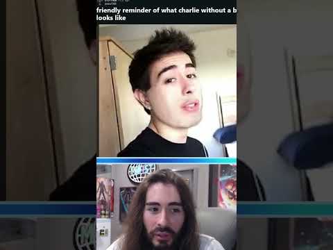 That beard is doing work #moistcr1tikal #streams #penguinz0